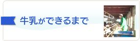 牛乳ができるまで